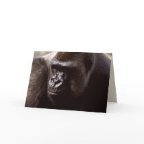 Wildlife Set - Primates 13 Greeting Card
