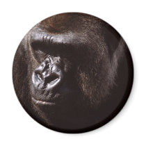 Wildlife Set - Primates 13 magnets by MuseMagic Wildlife Set - Primates 13 magnets