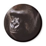 Wildlife Set - Primates 13 magnets