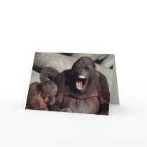 Wildlife Set - Primates 1 cards