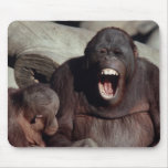Wildlife Set - Primates 1 Mouse Pad