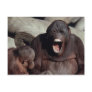 Wildlife Set - Primates 1 Post Cards