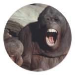 Wildlife Set - Primates 1 Round Stickers