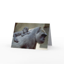 Wildlife Set - Primates 3 Card