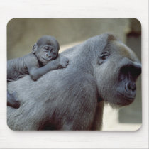 Wildlife Set - Primates 3 mousepads by MuseMagic Wildlife Set - Primates 3 mousepads
