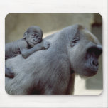 Wildlife Set - Primates 3 Mouse Mats