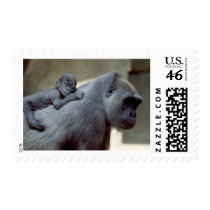 Wildlife Set - Primates 3 postage by MuseMagic Wildlife Set - Primates 3 postage