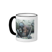 Wildlife Set - Primates 4 mugs by MuseMagic Wildlife Set - Primates 4 mugs