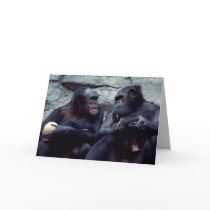 Wildlife Set - Primates 5 Greeting Cards