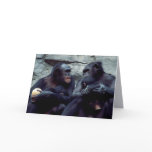 Wildlife Set - Primates 5 cards