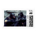 Wildlife Set - Primates 5 postage by MuseMagic Wildlife Set - Primates 5 postage