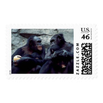 Wildlife Set - Primates 5 postage by MuseMagic Wildlife Set - Primates 5 postage