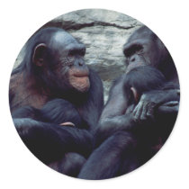 Wildlife Set - Primates 5 stickers by MuseMagic Wildlife Set - Primates 5 stickers