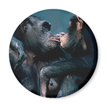 Wildlife Set - Primates 6 magnets by MuseMagic Wildlife Set - Primates 6 magnets