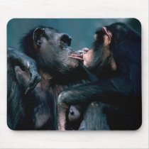 Wildlife Set - Primates 6 mousepads by MuseMagic Wildlife Set - Primates 6 mousepads