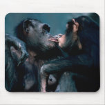 Wildlife Set - Primates 6 Mouse Pad