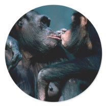 Wildlife Set - Primates 6 stickers by MuseMagic Wildlife Set - Primates 6 stickers