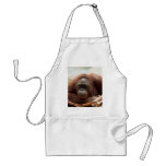 Wildlife Set - Primates 7 Aprons