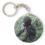 Wildlife Set - Primates 8 keychains