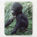 Wildlife Set - Primates 8 mousepads
