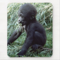 Wildlife Set - Primates 8 mousepads by MuseMagic Wildlife Set - Primates 8 mousepads