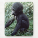 Wildlife Set - Primates 8 Mouse Pads