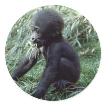 Wildlife Set - Primates 8 stickers by MuseMagic Wildlife Set - Primates 8 stickers