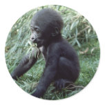 Wildlife Set - Primates 8 Round Stickers