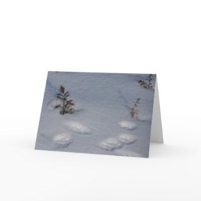 Wildlife Tracks/Snow Card by farmer77