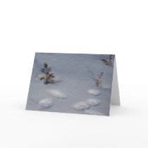 Wildlife Tracks/Snow Card
