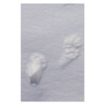 Wildlife Tracks Stationery