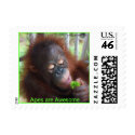 Wildlife ~ Unripe Rambutan postage by Rebecca_Reeder Wildlife ~ Unripe Rambutan postage
