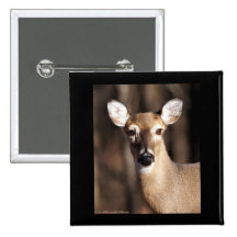 Wildlife Whitetail Deer Doe Portrait Pinback Button