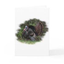 WildTurkey on the prowl cards