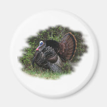 WildTurkey on the prowl Fridge Magnet