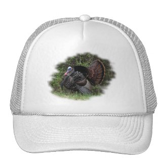 WildTurkey on the prowl Mesh Hat