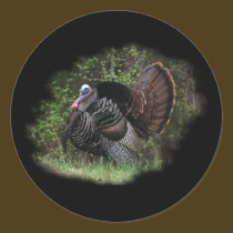 WildTurkey on the prowl stickers