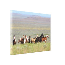WildWest Mustangs Wrapped Canvas canvas prints