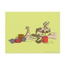 Wile E Coyote Acme Products 11 2 Post Cards