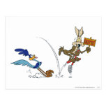 Wile E Coyote and Road Runner Acme Products 7 Postcard