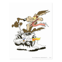 Wile E. Coyote Crazy Glance Postcards