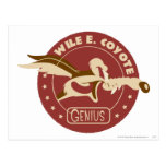 Wile E. Coyote Genius Post Cards
