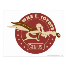 Wile E. Coyote Genius Post Cards