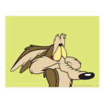 Wile E. Coyote Impending Doom Postcards
