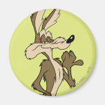 Wile E. Coyote Looking Proud Fridge Magnet