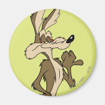 Wile E. Coyote Looking Proud Fridge Magnet