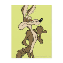 Wile E. Coyote Looking Proud Postcards