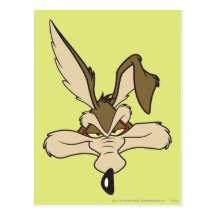 Wile E. Coyote Pleased Head Shot Post Cards