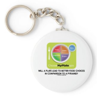 Will A Plate Lead To Better Food Choices Pyramid Keychain