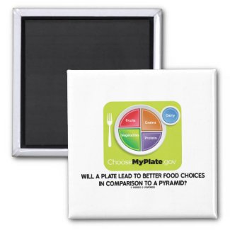 Will A Plate Lead To Better Food Choices Pyramid Refrigerator Magnets